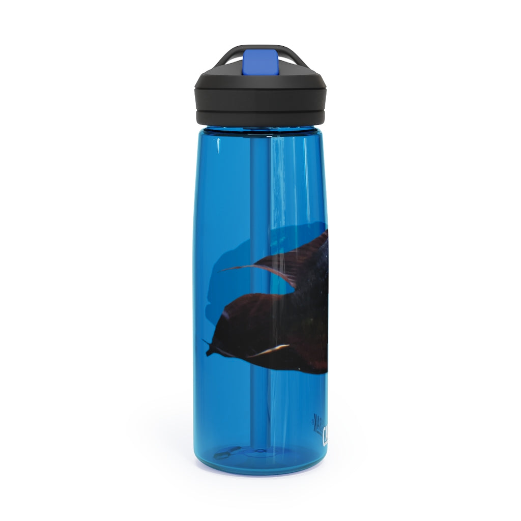 Red and Black Fish CamelBak Eddy® Water Bottle, 20oz and 25oz sizes, featuring a spill-proof biting valve and easy-carry handle.