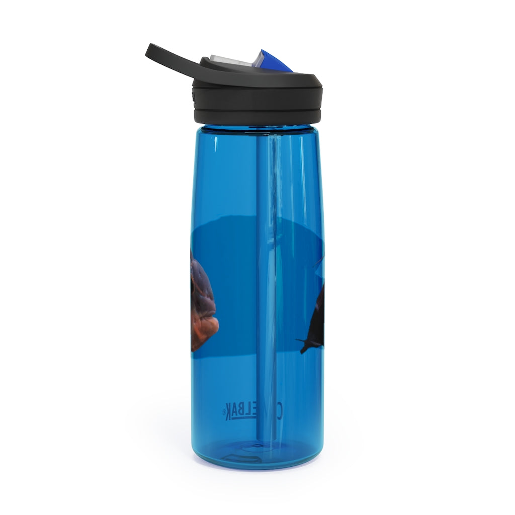Red and Black Fish CamelBak Eddy® Water Bottle, 20oz and 25oz sizes, featuring a spill-proof biting valve and easy-carry handle.