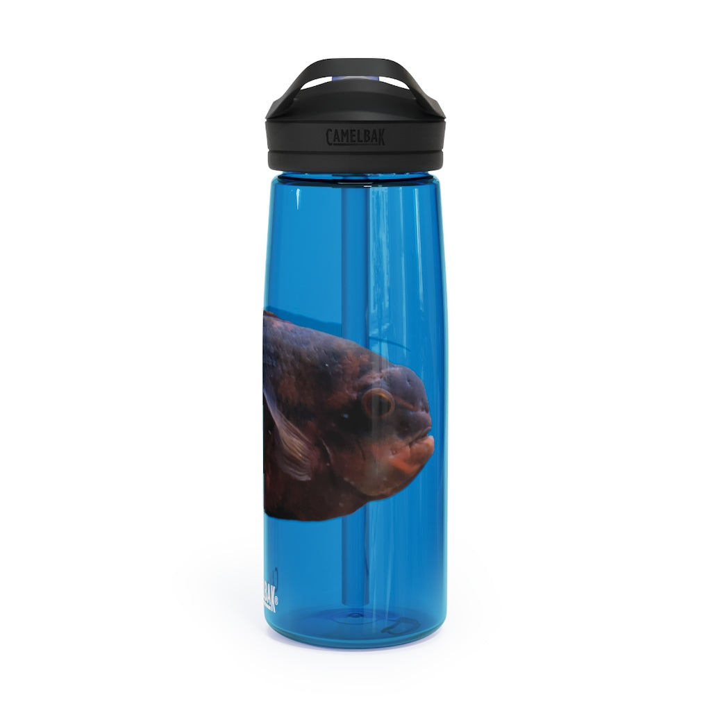 Red and Black Fish CamelBak Eddy® Water Bottle, 20oz and 25oz sizes, featuring a spill-proof biting valve and easy-carry handle.