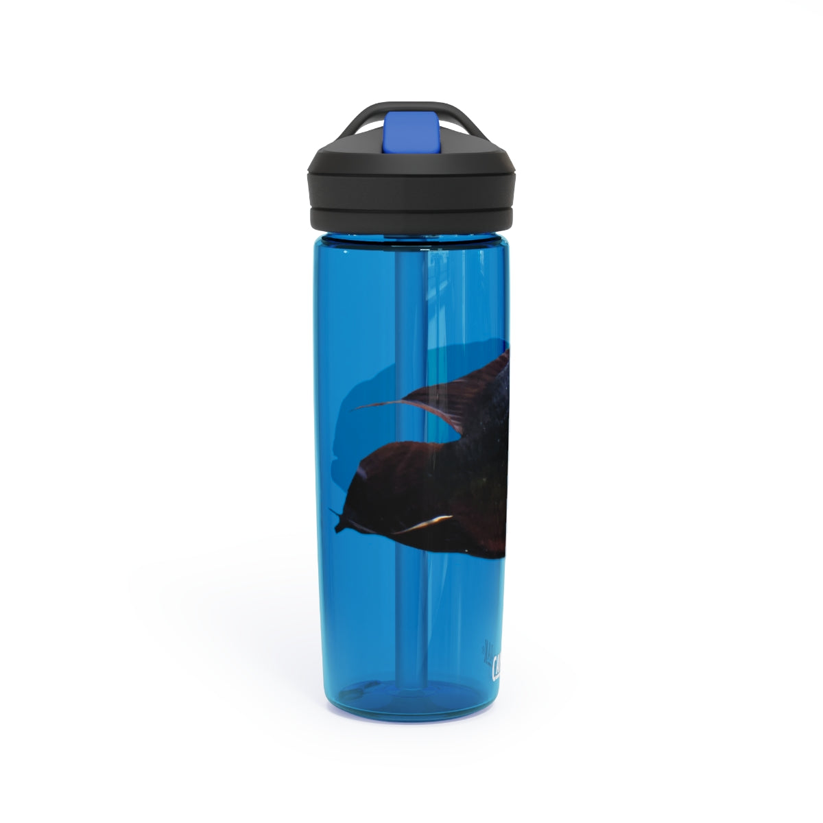 Red Black CamelBak Eddy® Water Bottle in 20oz and 25oz sizes, showcasing its durable design and spill-proof valve.