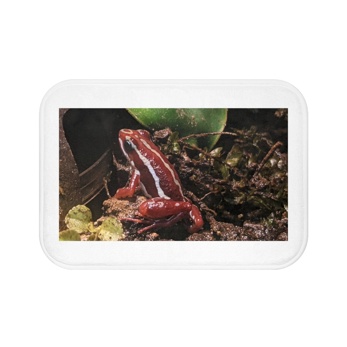 Red Frog Bath Mat with anti-slip backing and vibrant design, perfect for bathroom decor.