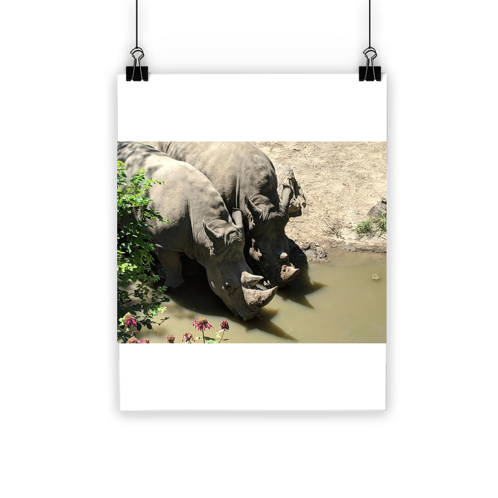 Rhino Classic Poster showcasing vibrant colors on semi-gloss paper, ideal for indoor and outdoor use.