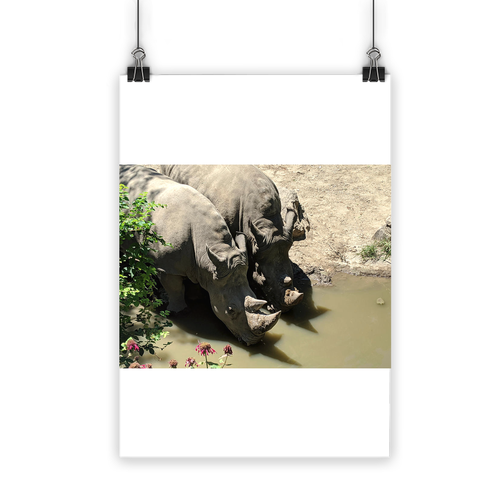 Rhino Classic Poster showcasing vibrant colors on semi-gloss paper, ideal for indoor and outdoor use.
