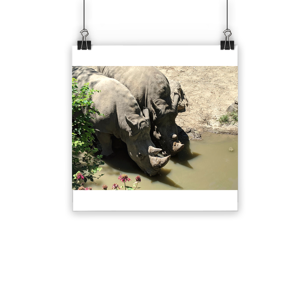 Rhino Classic Poster showcasing vibrant colors on semi-gloss paper, ideal for indoor and outdoor use.