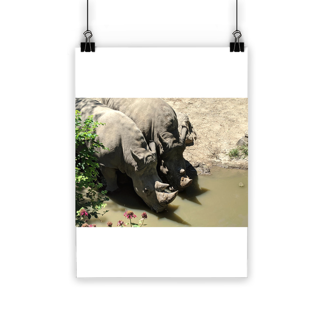 Rhino Classic Poster showcasing vibrant colors on semi-gloss paper, ideal for indoor and outdoor use.