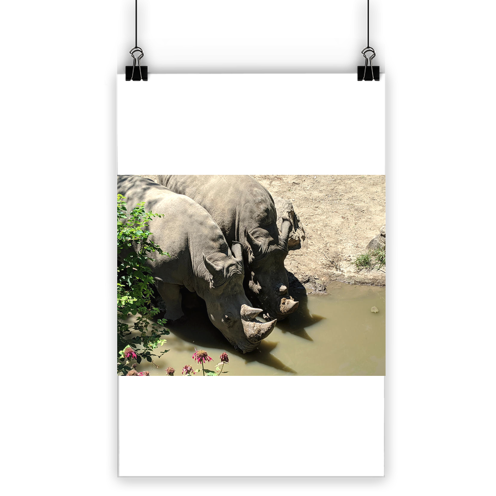 Rhino Classic Poster showcasing vibrant colors on semi-gloss paper, ideal for indoor and outdoor use.
