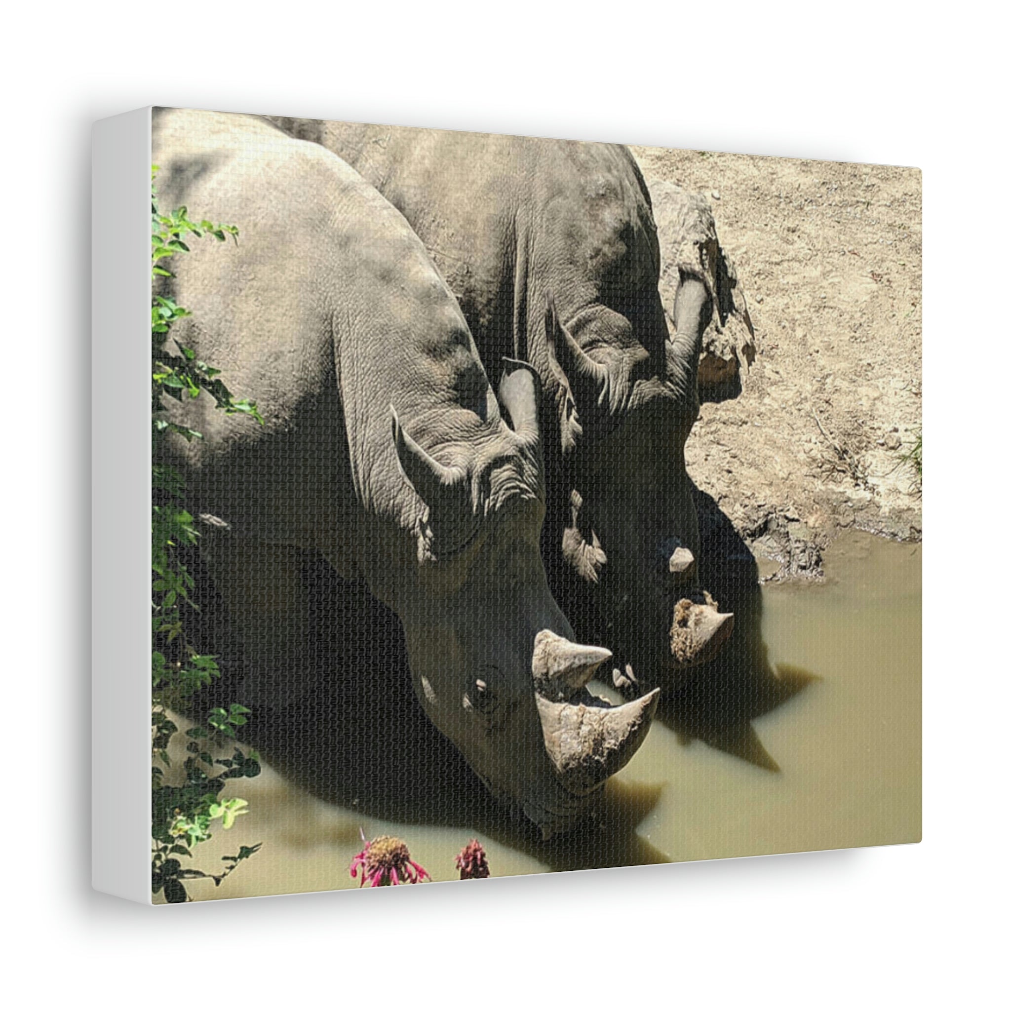 Rhino Stretched Canvas featuring vibrant artwork on a sturdy wooden frame, perfect for indoor decoration.