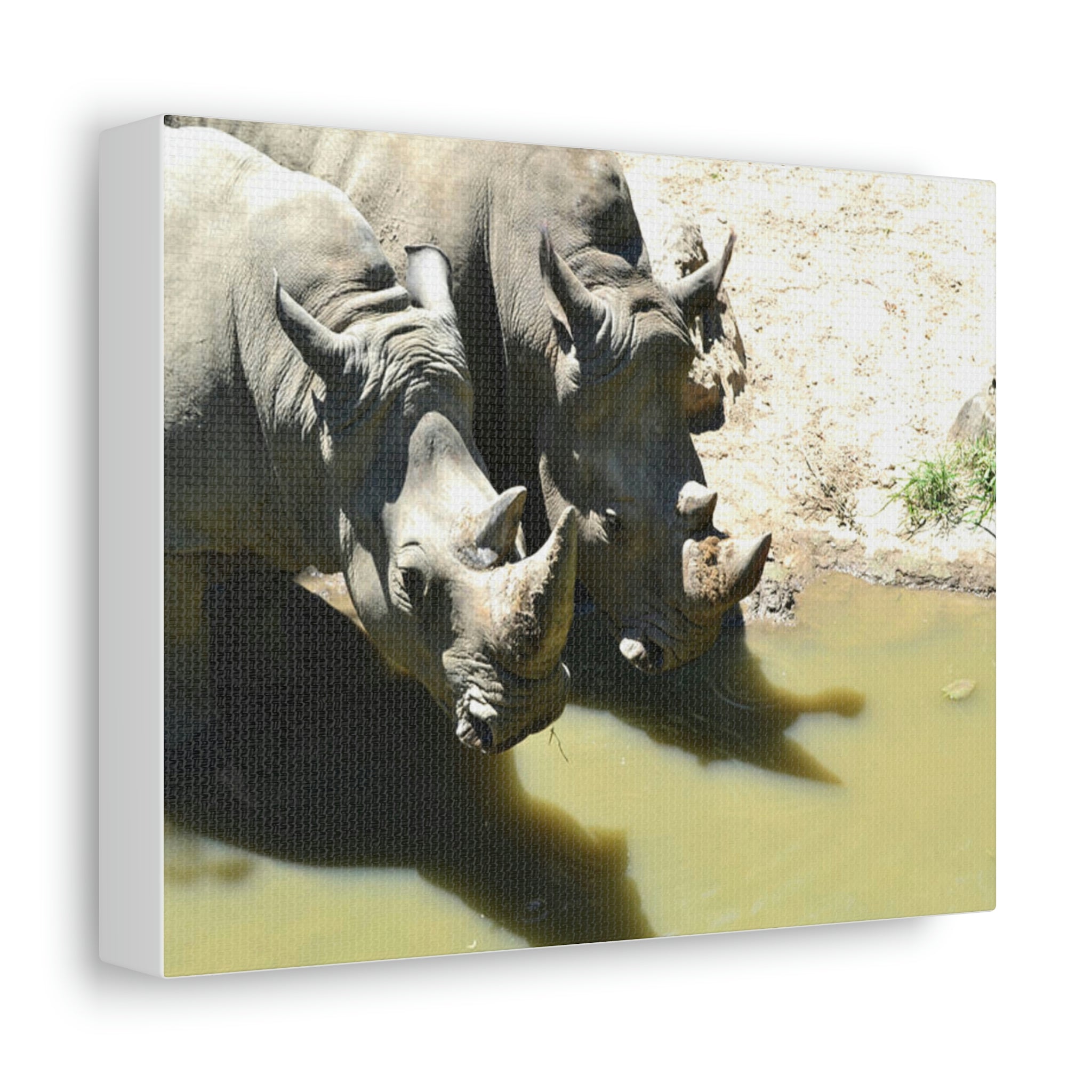 Rhinos Stretched Canvas artwork featuring vibrant colors and intricate details, mounted on a sturdy wooden frame.