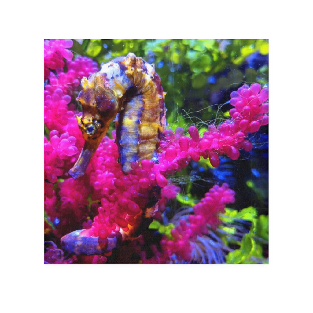 A vibrant Seahorse Face Towel featuring a customizable polyester front and soft cotton back, perfect for bathroom use.