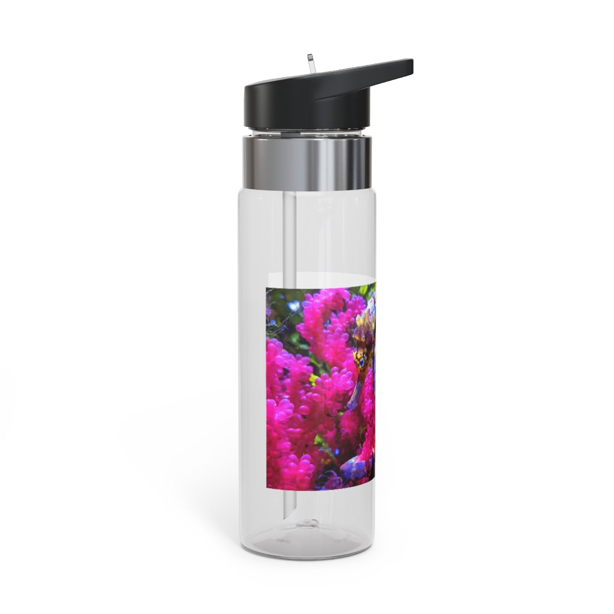 Seahorse Kensington Tritan™ Sport Bottle in vibrant colors with a carabiner hook, showcasing its durable design and spill-resistant lid.