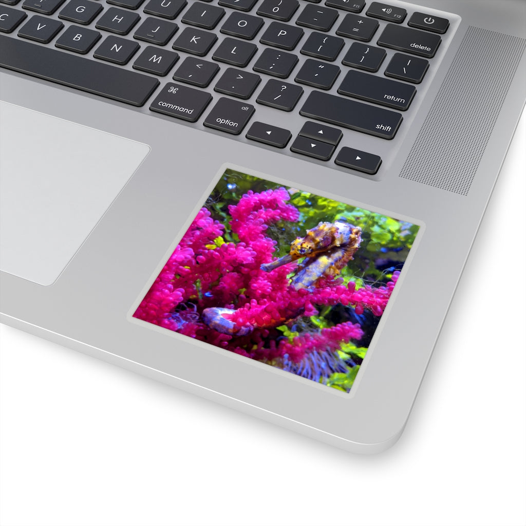 A collection of Seahorse Kiss-Cut Stickers in various shapes and sizes, showcasing their unique designs and peel-off backing.