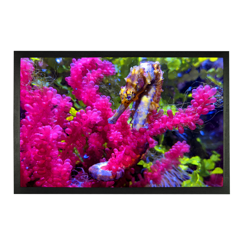 A vibrant Seahorse Sublimation Doormat featuring a colorful seahorse design on a durable rubber base, ideal for personalized home decor.
