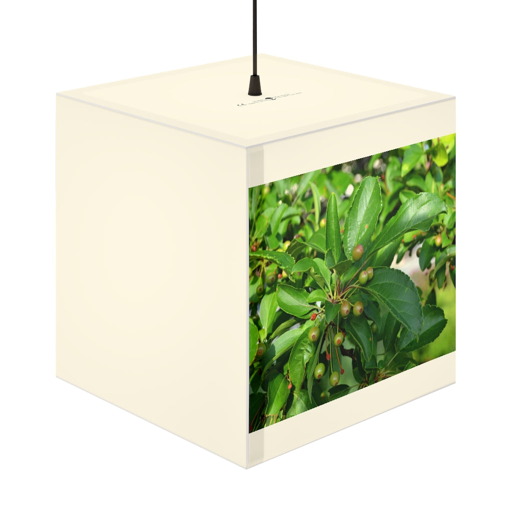 A beautifully designed cube lamp featuring seed and green leaves pattern, perfect for indoor decoration.