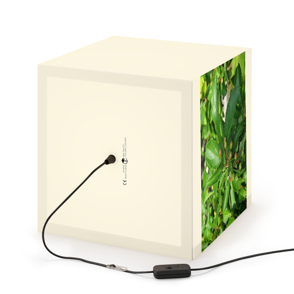A beautifully designed cube lamp featuring seed and green leaves pattern, perfect for indoor decoration.