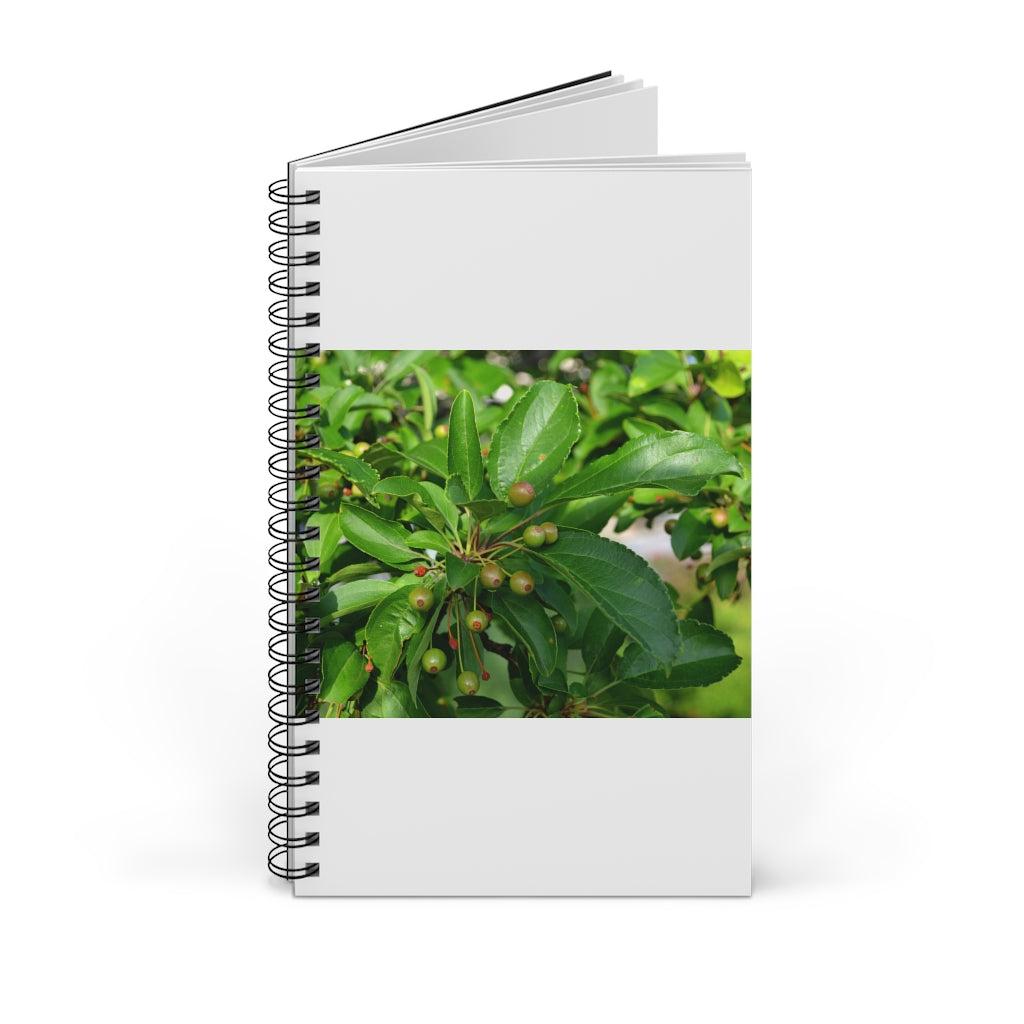 Seeds and Green Leaves Spiral Journal featuring a nature-inspired front cover design, available in four styles.