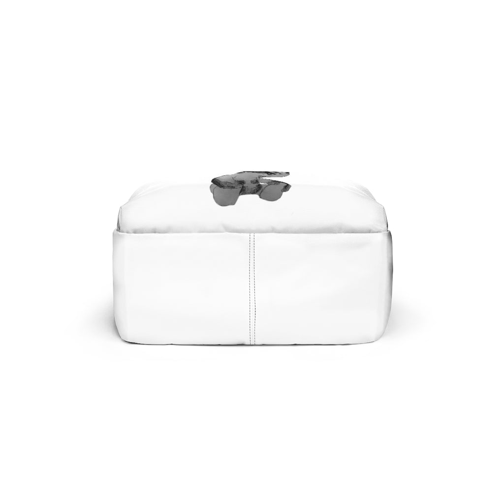 Shamrock Unisex Classic Backpack in vibrant colors, showcasing adjustable straps and durable nylon material, perfect for school and travel.