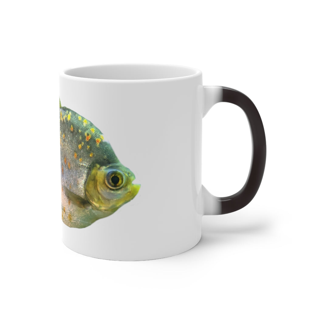 A stylish silver fish color changing mug showcasing its unique design and color transformation when filled with hot liquid.
