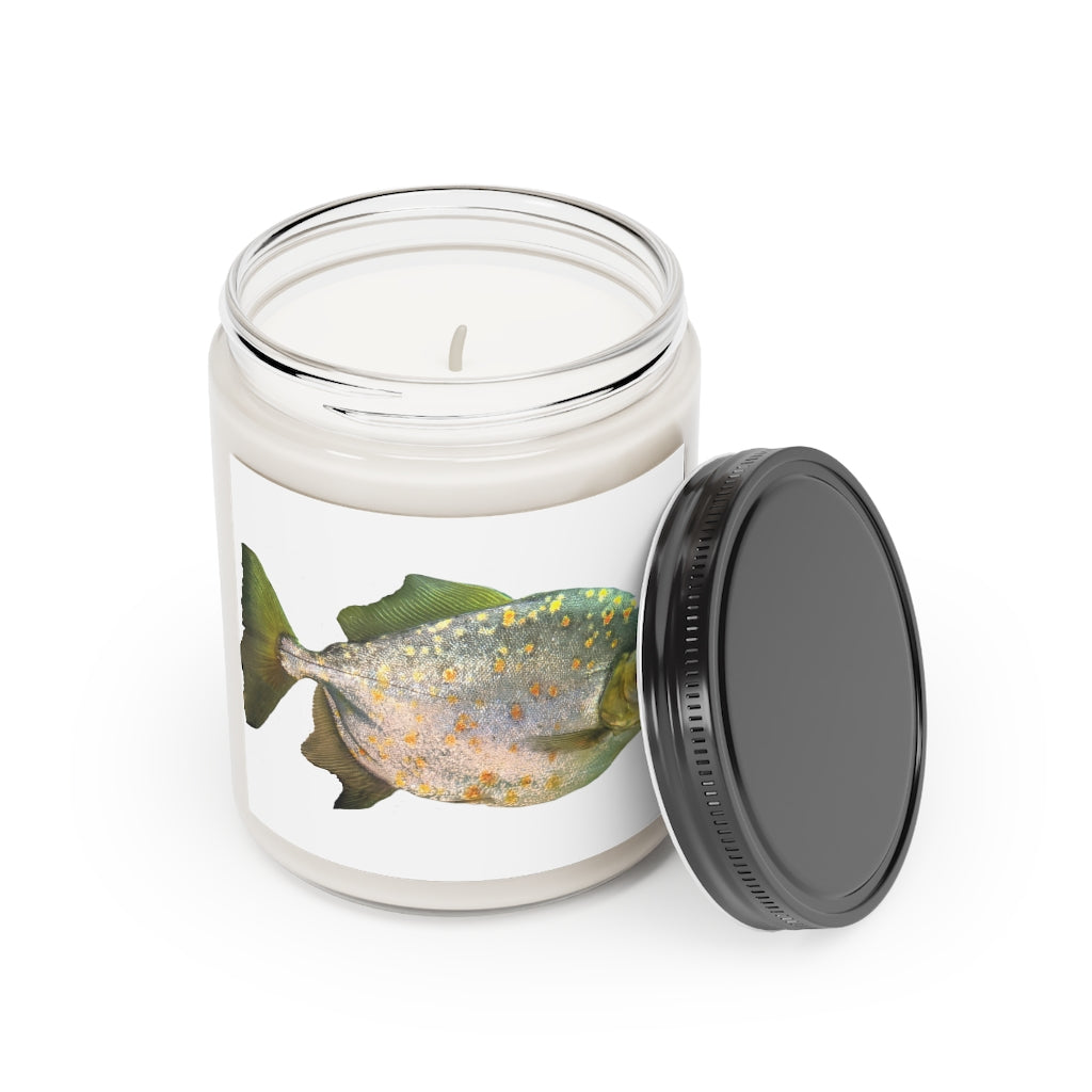 A 9oz Silver Fish scented candle in a glass container, featuring a permanent adhesive label, showcasing its vegan soy coconut wax and elegant design.