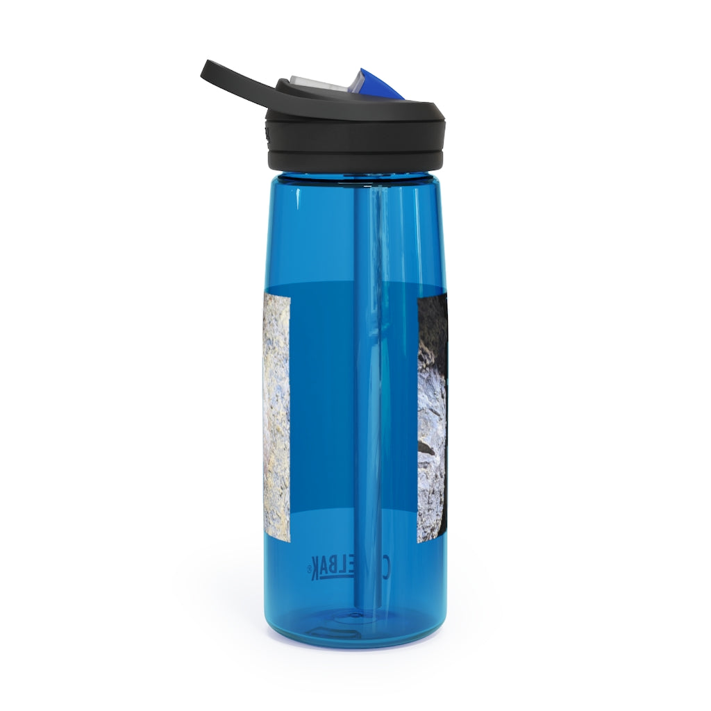 Snake CamelBak Eddy® Water Bottle in 20oz and 25oz sizes, showcasing its durable Tritan™ material and spill-proof design.