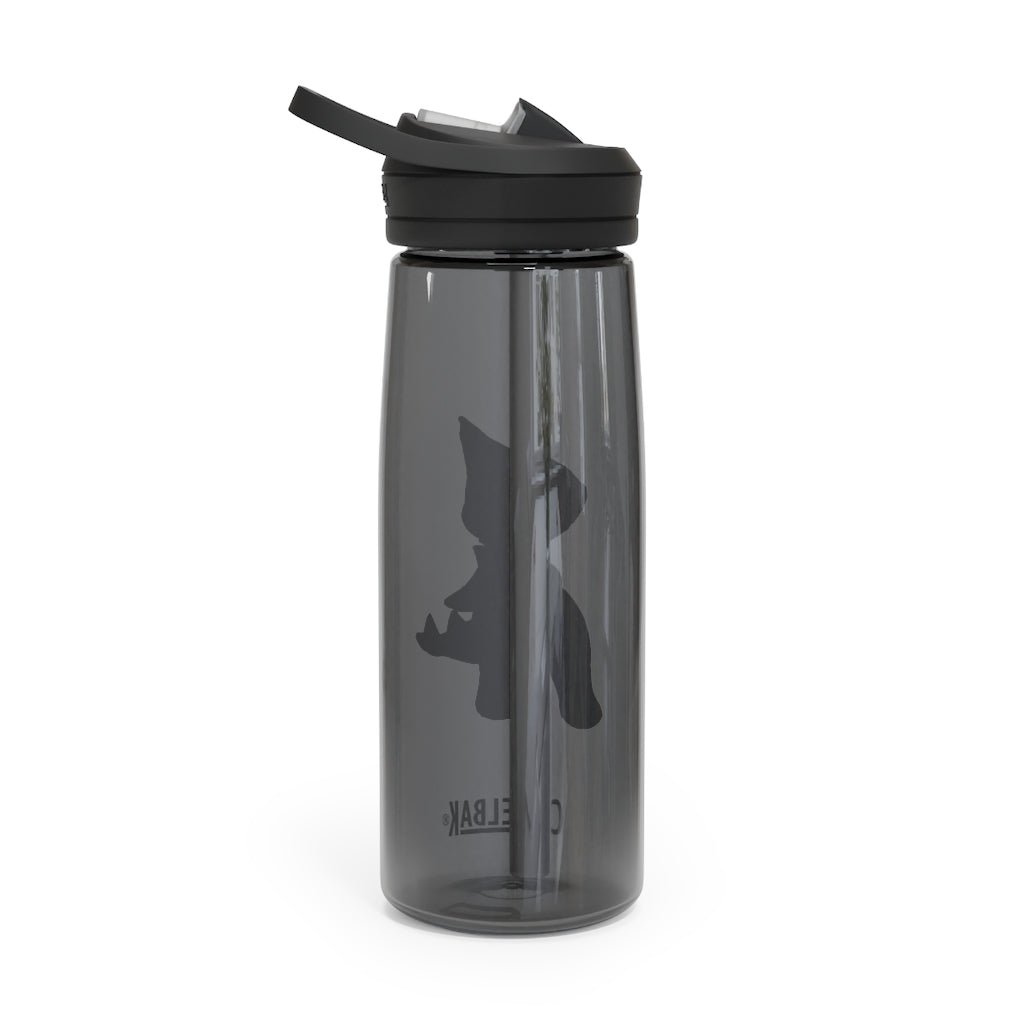 Spakeel CamelBak Eddy® Water Bottle in 20oz and 25oz sizes, showcasing its durable Tritan™ material and spill-proof design.