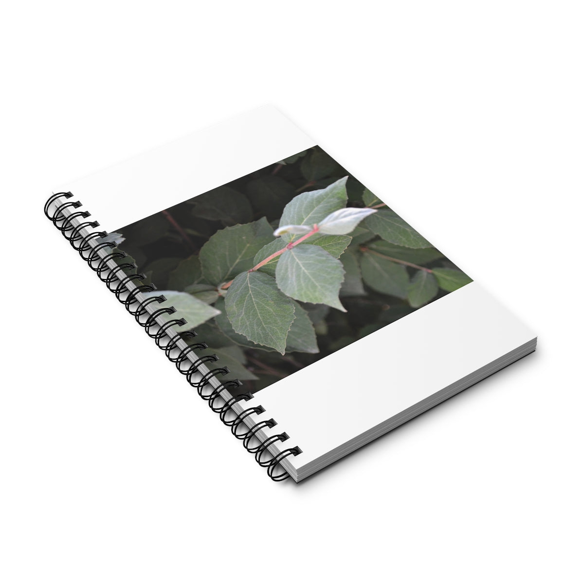 A stylish Spiral Journal featuring a variety of styles including blank, dot grid, lined, and task manager layouts, with a durable casewrap binding.