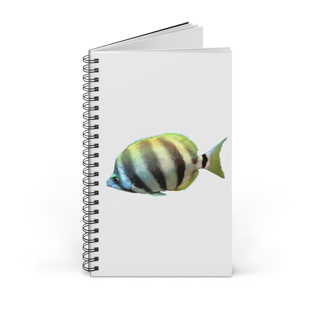 Striped Fish Spiral Journal featuring a vibrant front cover print, available in four styles including blank, dot grid, lined, and task.