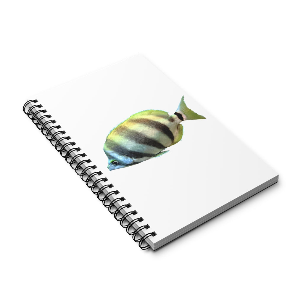 Striped Fish Spiral Journal featuring a vibrant front cover print, available in four styles including blank, dot grid, lined, and task.