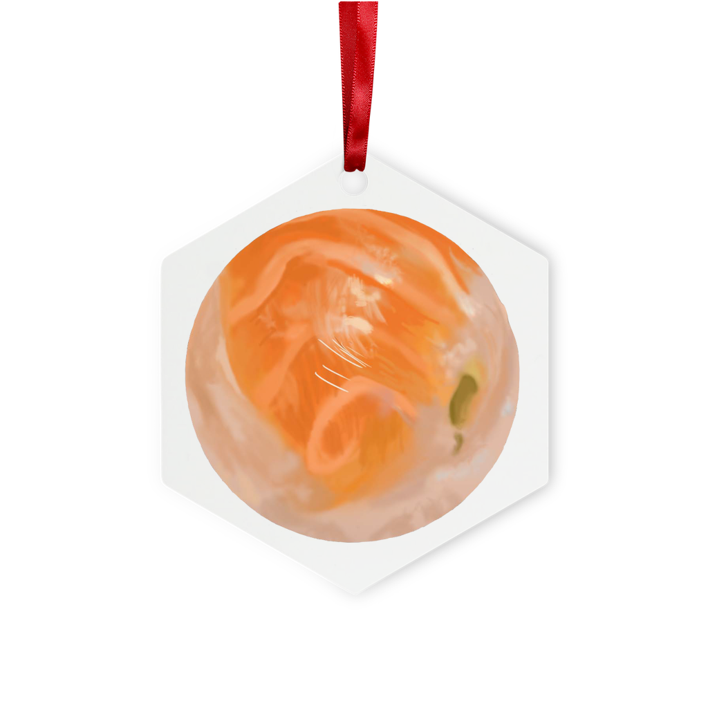 Sushi Metal Hanging Ornament in hexagon and star shapes, featuring a glossy white finish and red ribbon for hanging.