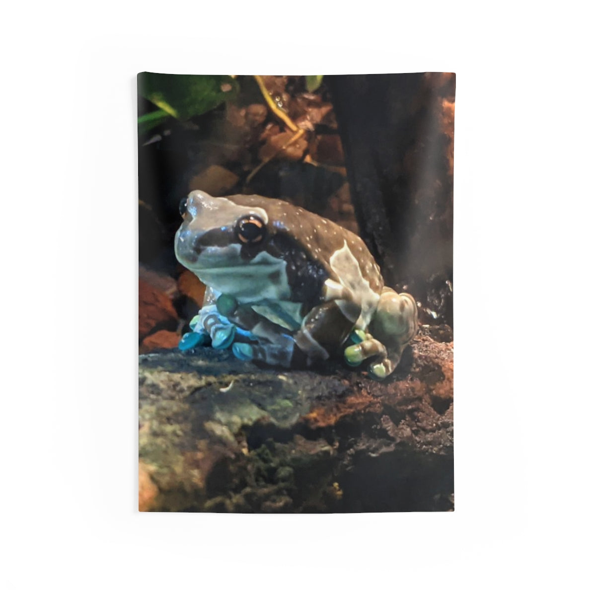 A vibrant Toad Indoor Wall Tapestry showcasing intricate designs, made from durable polyester with hemmed edges.
