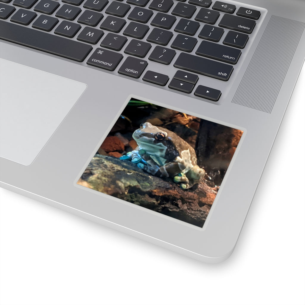 A collection of Toad Kiss-Cut Stickers showcasing various custom shapes and designs on a white background.