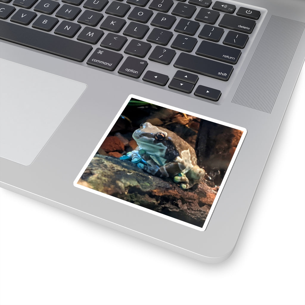 A collection of Toad Kiss-Cut Stickers showcasing various custom shapes and designs on a white background.