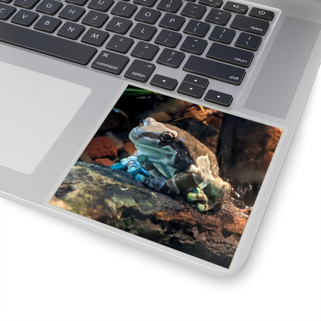 A collection of Toad Kiss-Cut Stickers showcasing various custom shapes and designs on a white background.