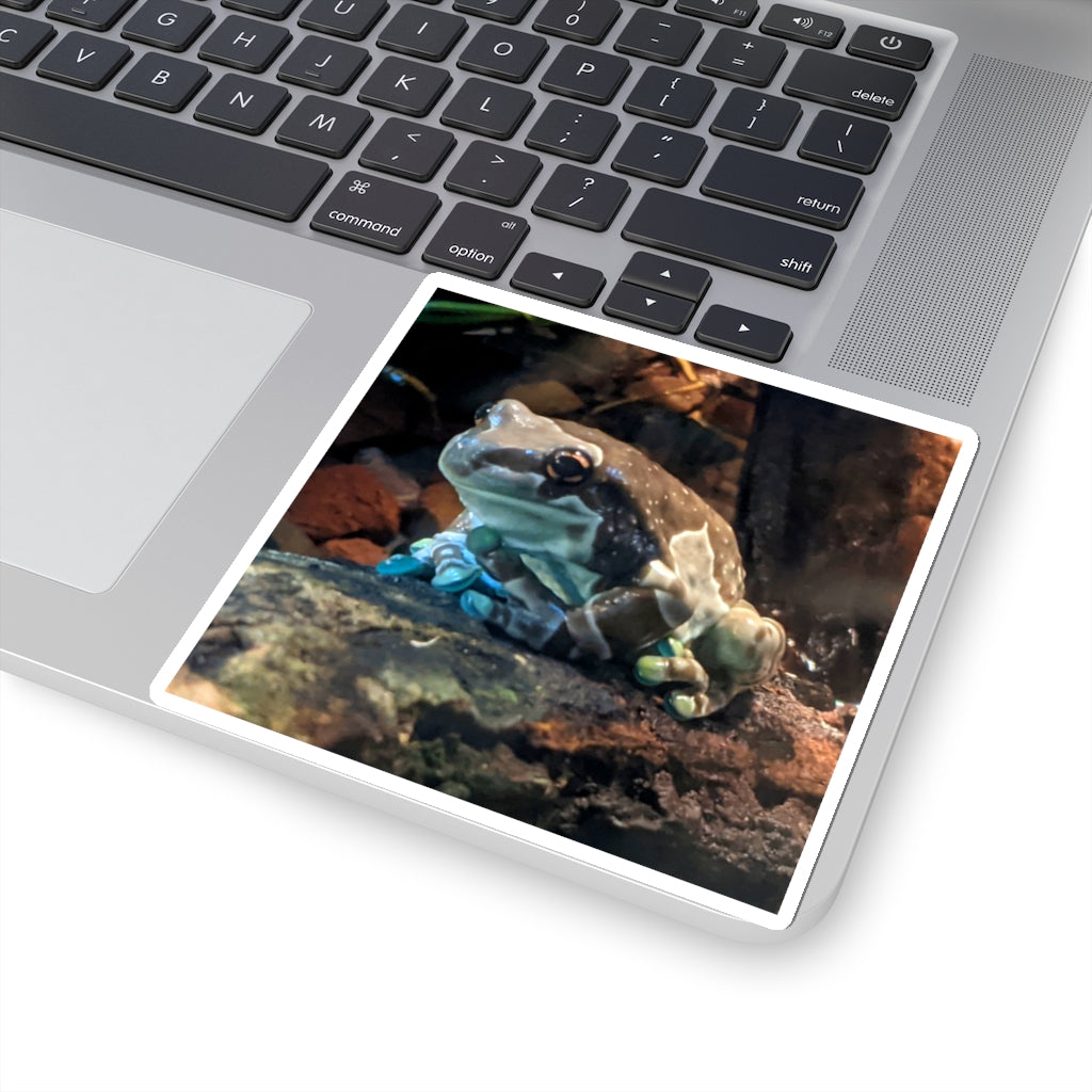 A collection of Toad Kiss-Cut Stickers showcasing various custom shapes and designs on a white background.