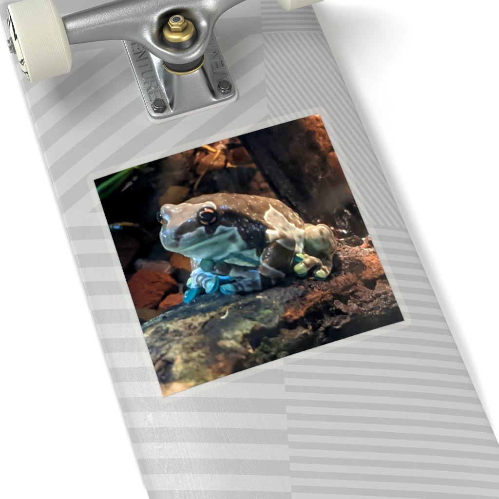 A collection of Toad Kiss-Cut Stickers showcasing various custom shapes and designs on a white background.