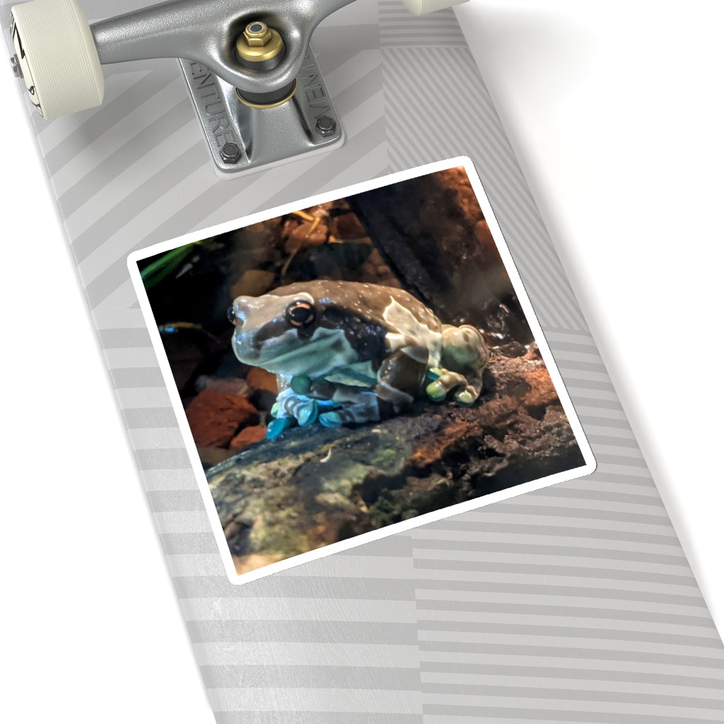 A collection of Toad Kiss-Cut Stickers showcasing various custom shapes and designs on a white background.