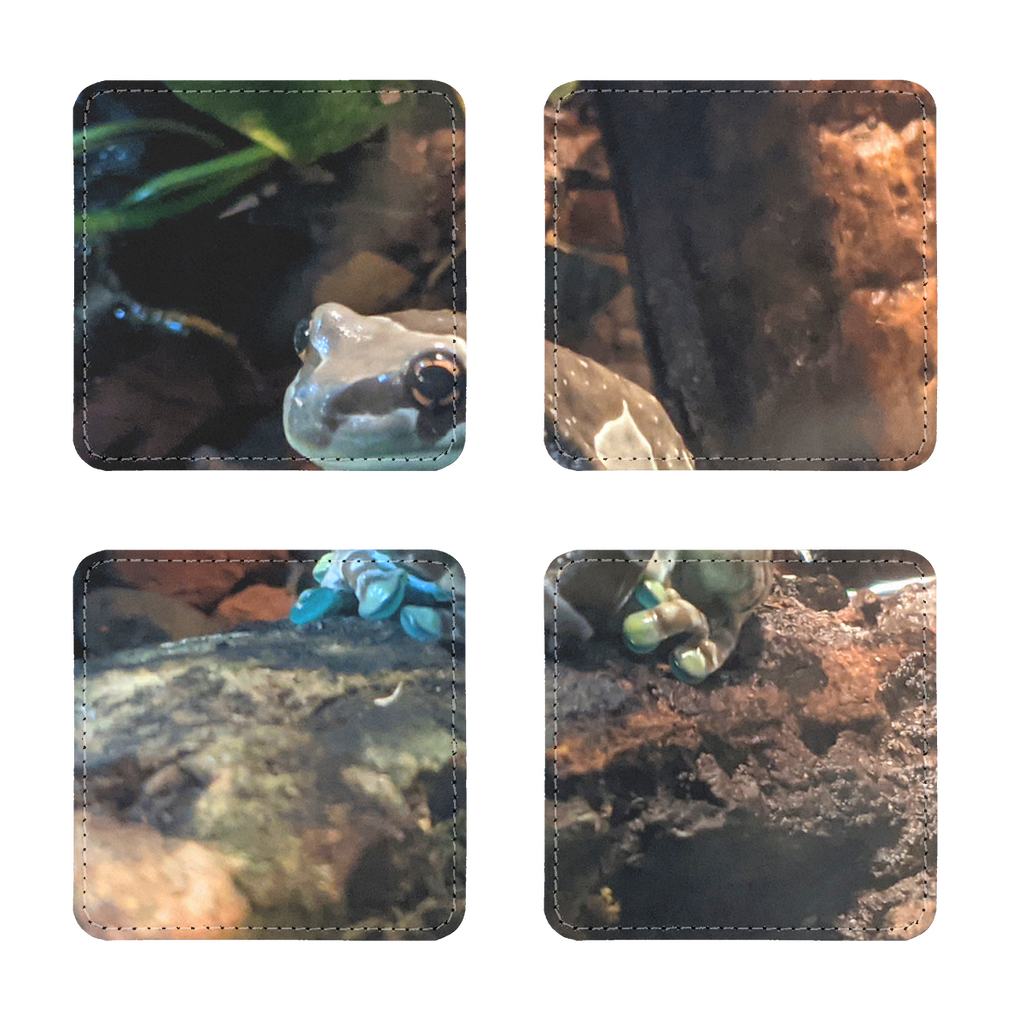 A pack of four Toad Sublimation Coasters made of PU leather, featuring a white printable face and white stitching, showcasing both square and round designs.