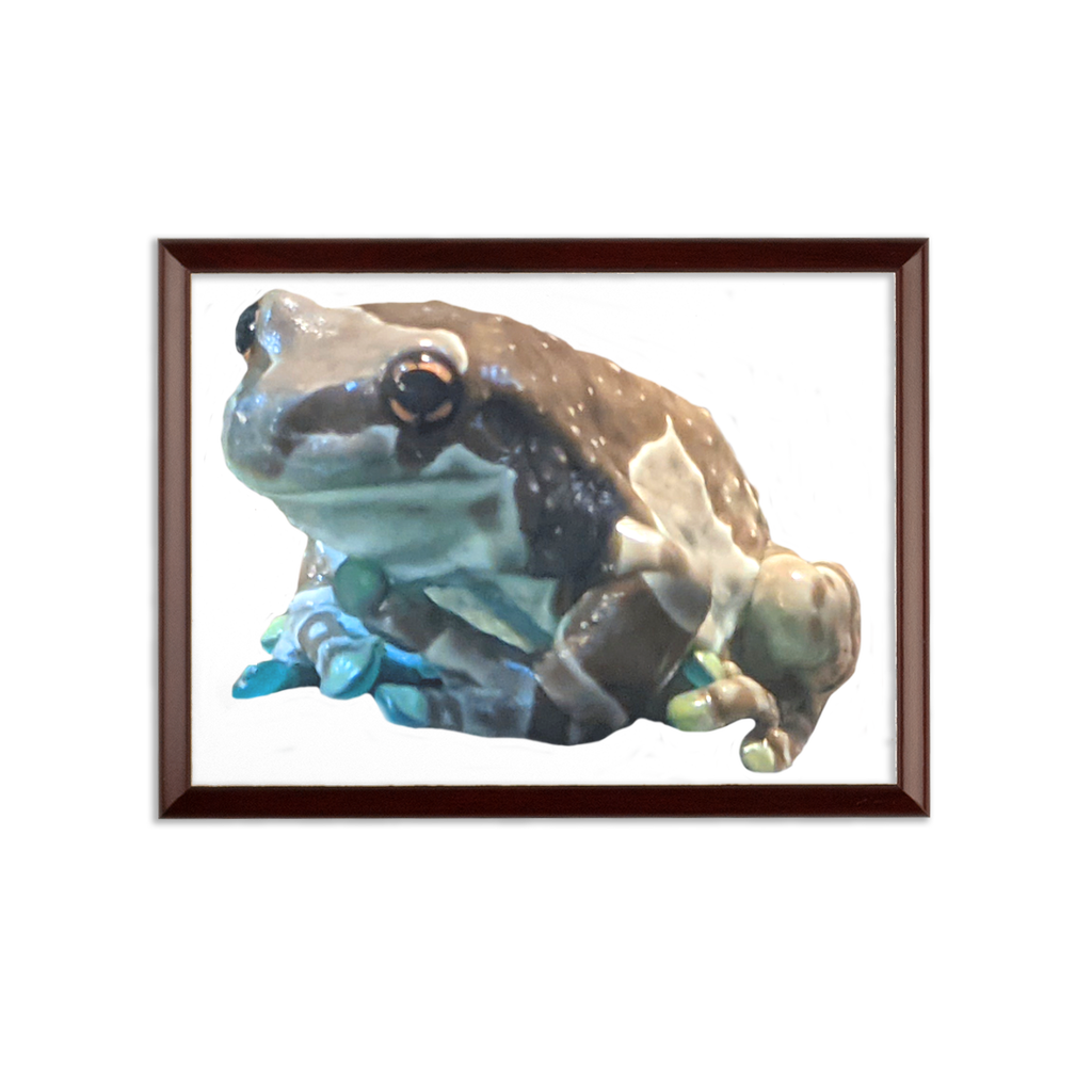 Toad Sublimation Wall Plaque with brown wooden frame and white printable surface, showcasing its elegant ogee-shaped edge.