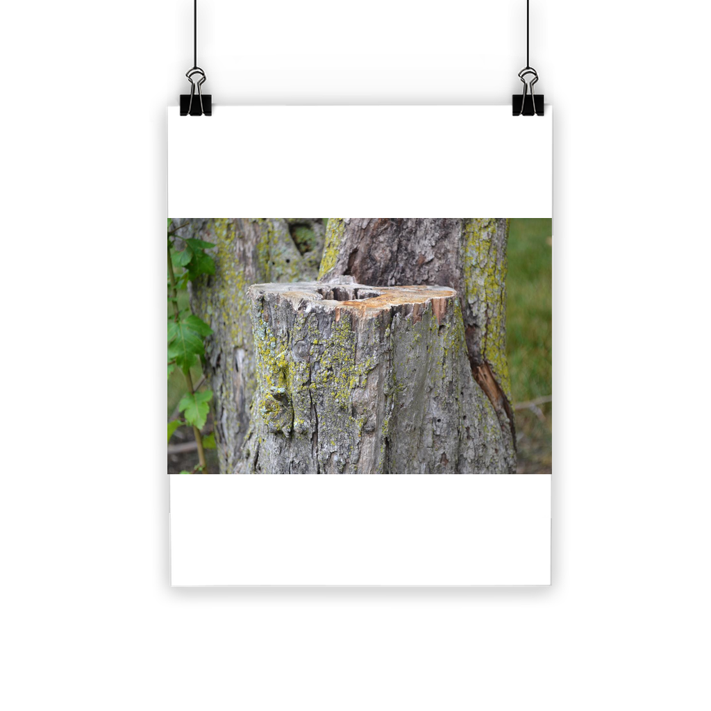 Tree Stump Classic Poster featuring vibrant colors and a semi-gloss finish, ideal for indoor and outdoor display.