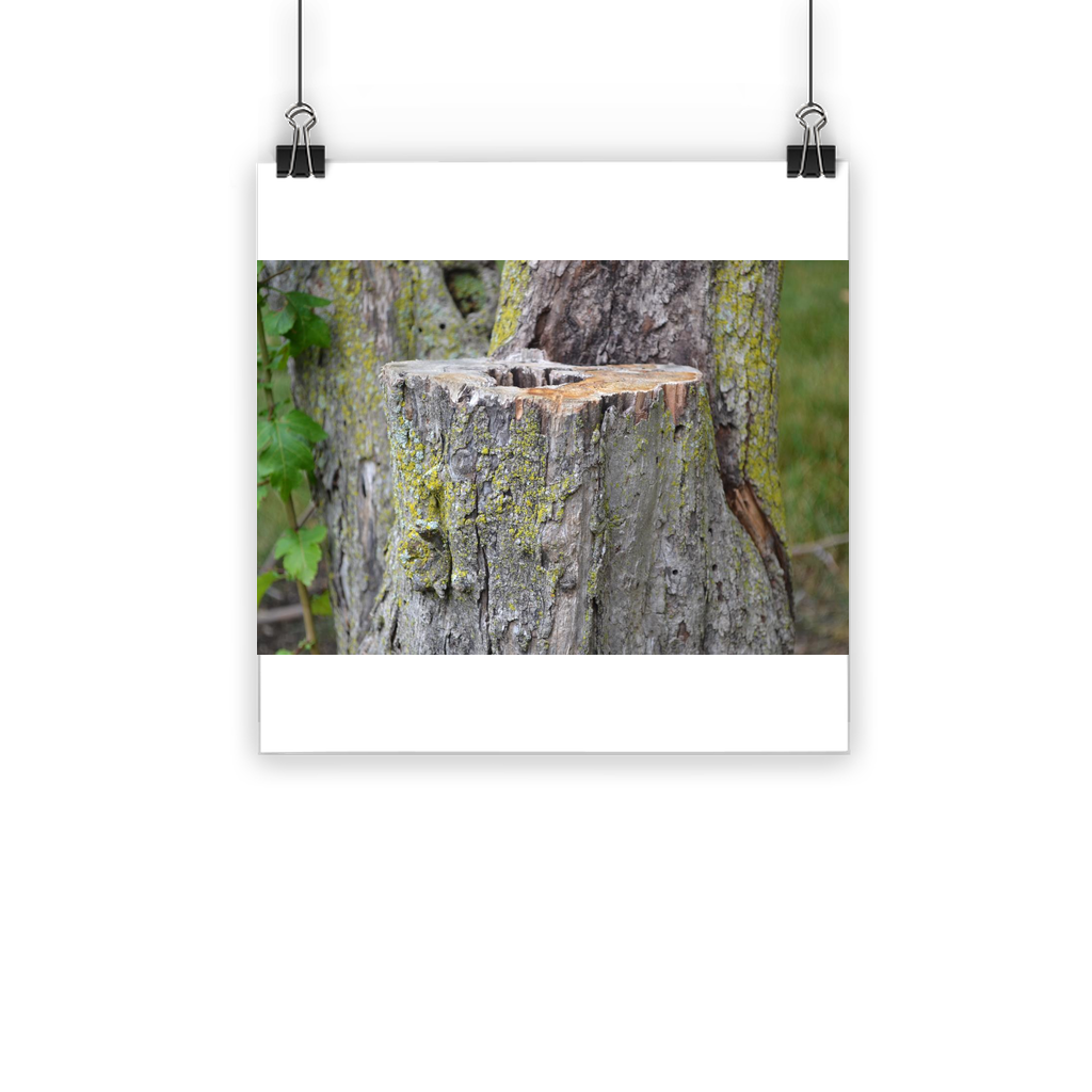 Tree Stump Classic Poster featuring vibrant colors and a semi-gloss finish, ideal for indoor and outdoor display.