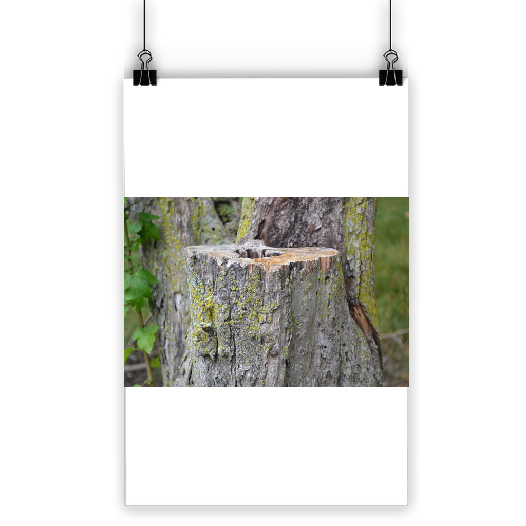 Tree Stump Classic Poster featuring vibrant colors and a semi-gloss finish, ideal for indoor and outdoor display.