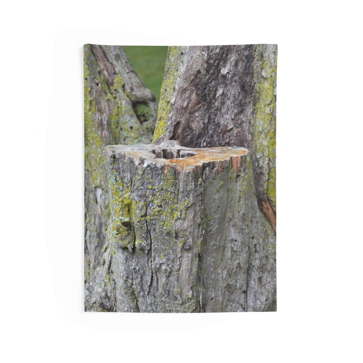 A beautifully designed Tree Stump Indoor Wall Tapestry showcasing intricate details and vibrant colors, perfect for home decor.