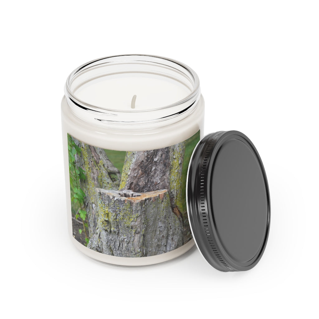 Tree Stump Scented Candle in a glass container, featuring a permanent adhesive label, showcasing its vegan soy coconut wax and warm fragrance options.