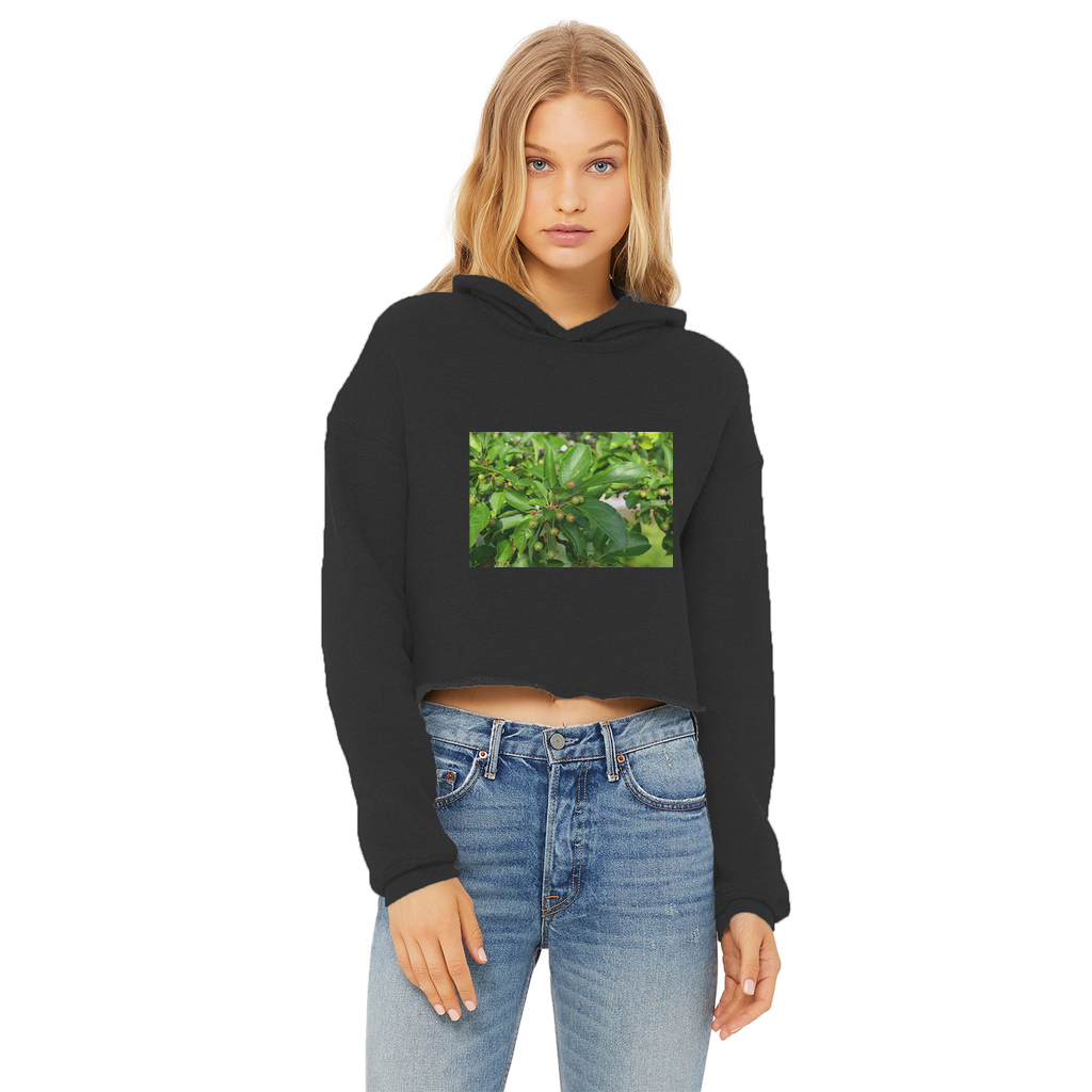 Tree with Seeds Ladies Cropped Raw Edge Hoodie in various colors, showcasing its stylish design and soft fabric.