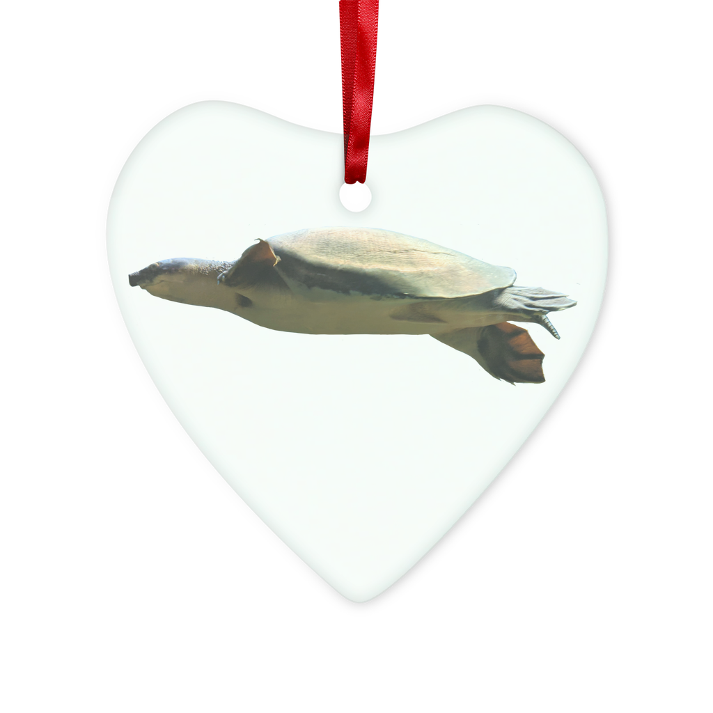 Turtle Glass Hanging Ornament featuring a turtle design, red ribbon, and gold string, elegantly displayed in a white gift box.