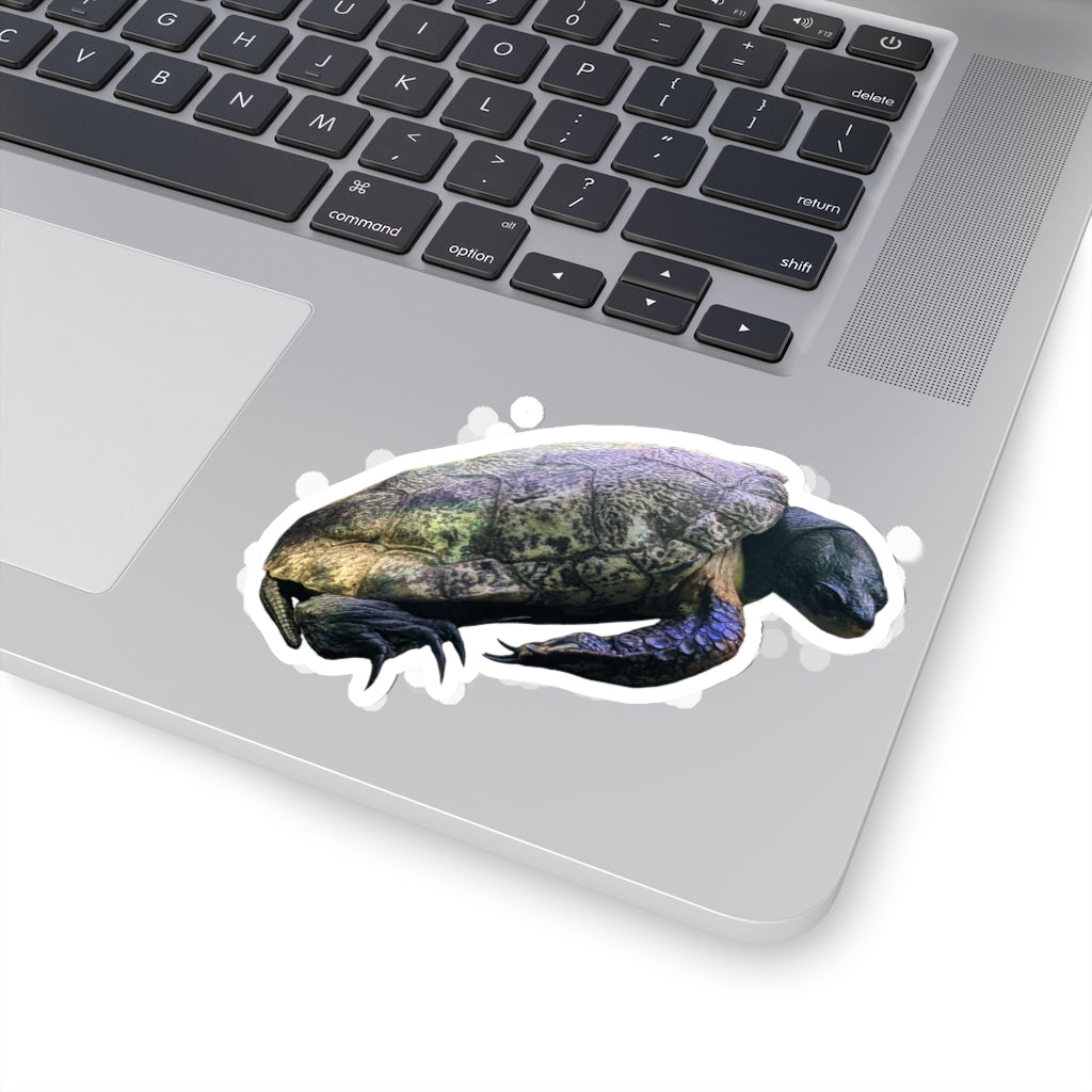 A collection of Turtle Kiss-Cut Stickers showcasing various custom shapes and sizes, designed for indoor use with a peel-off backing.