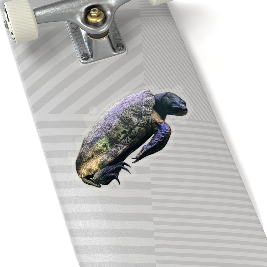 A collection of Turtle Kiss-Cut Stickers showcasing various custom shapes and sizes, designed for indoor use with a peel-off backing.