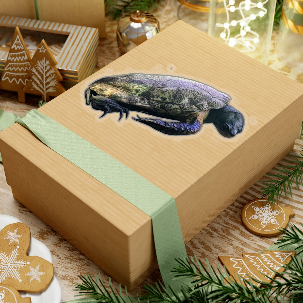 A collection of Turtle Kiss-Cut Stickers showcasing various custom shapes and sizes, designed for indoor use with a peel-off backing.