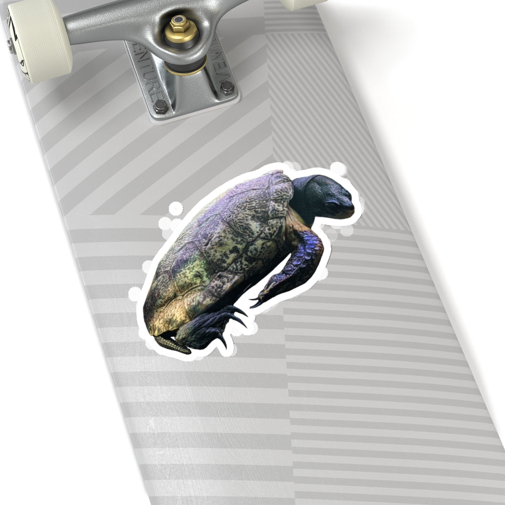 A collection of Turtle Kiss-Cut Stickers showcasing various custom shapes and sizes, designed for indoor use with a peel-off backing.