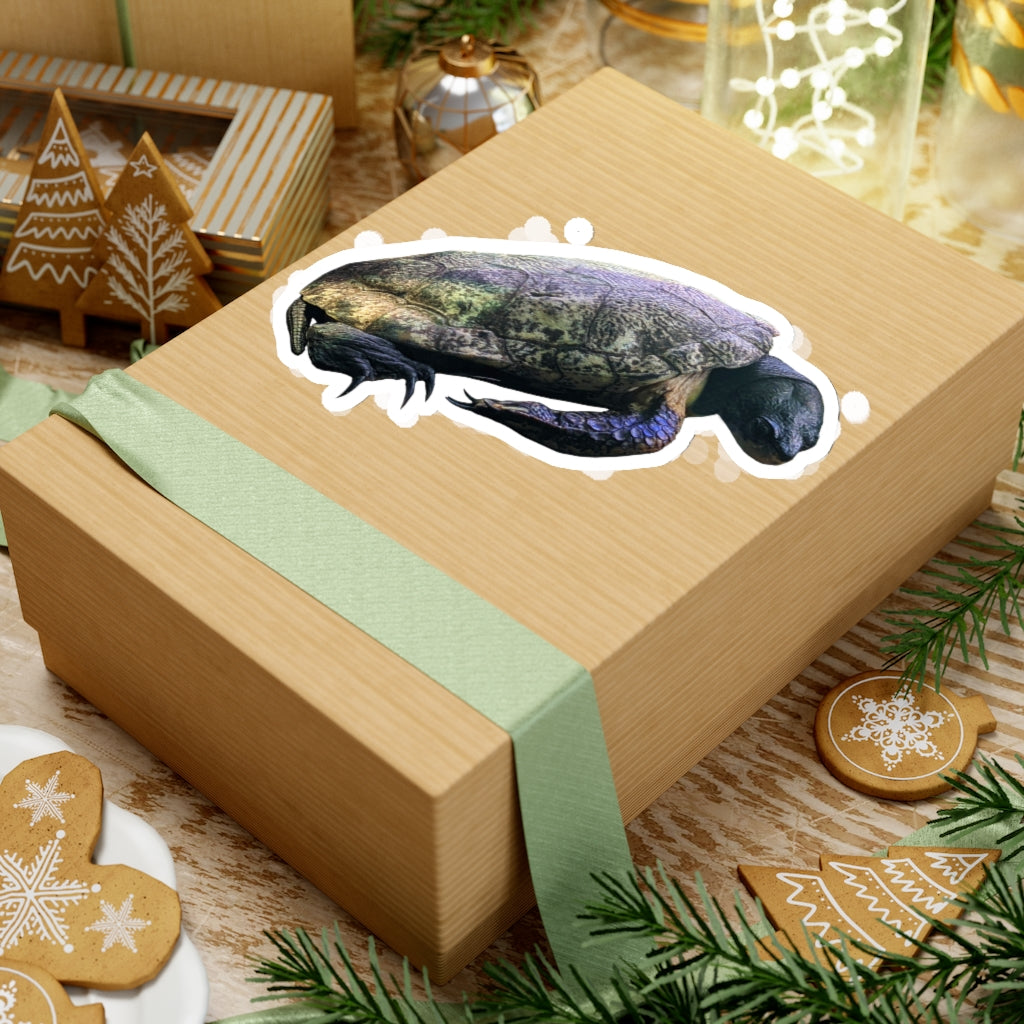 A collection of Turtle Kiss-Cut Stickers showcasing various custom shapes and sizes, designed for indoor use with a peel-off backing.