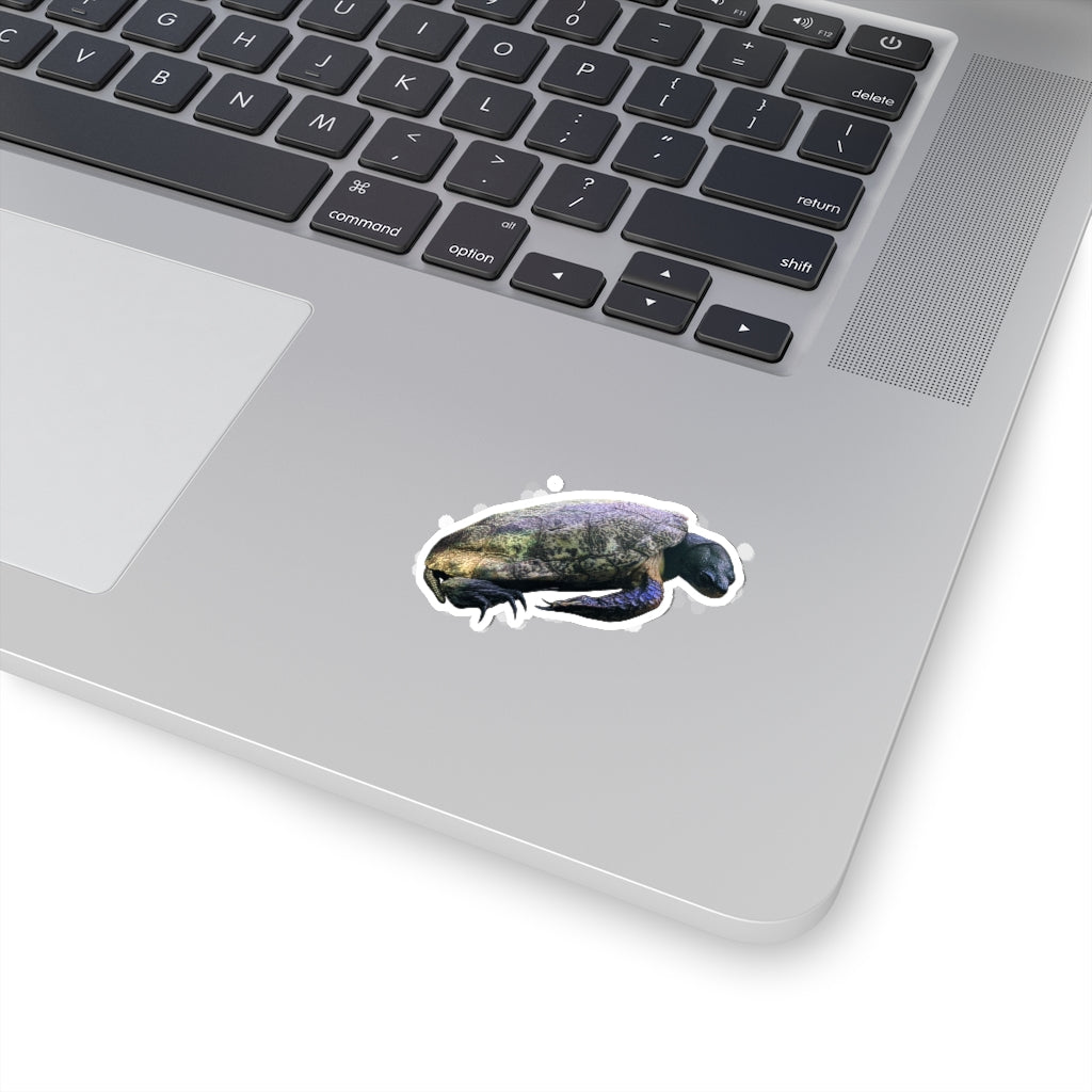 A collection of Turtle Kiss-Cut Stickers showcasing various custom shapes and sizes, designed for indoor use with a peel-off backing.